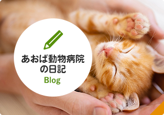 あおば動物病院の日記